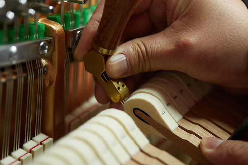 钢琴练习 钢琴练习