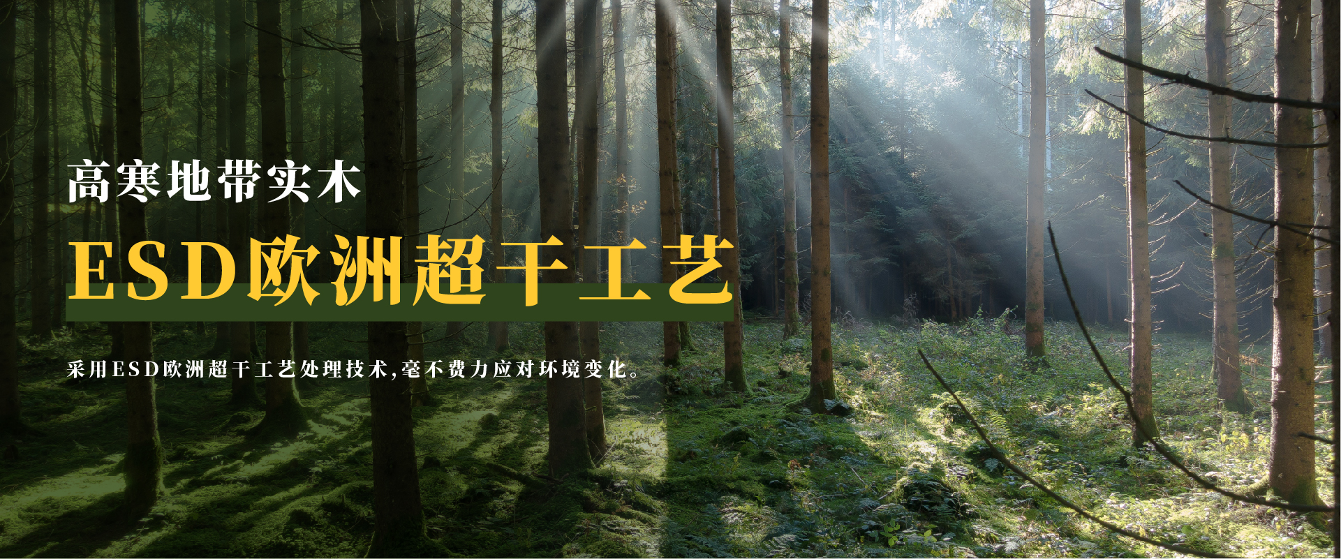 8688体育app官网下载