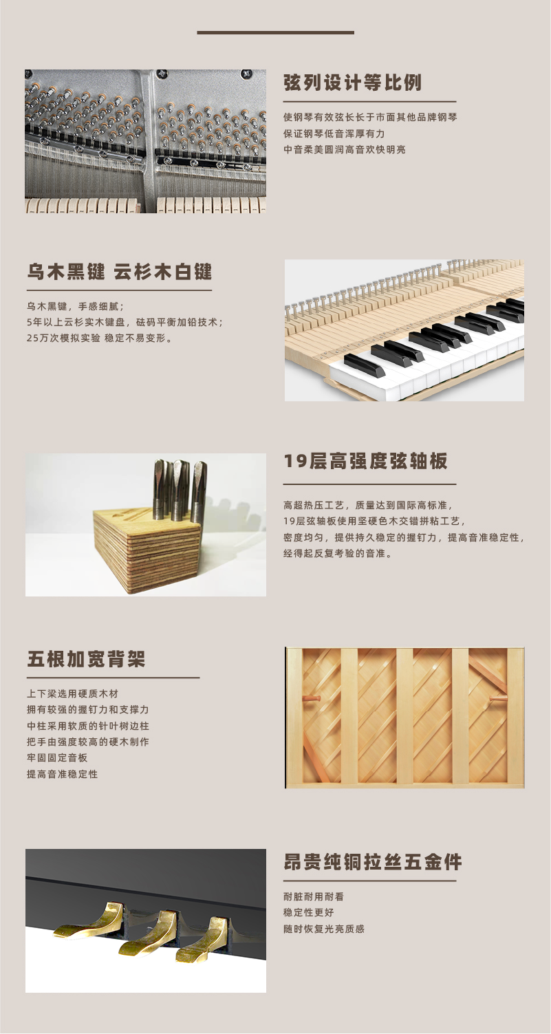 画板 6 副本 7.png