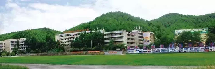 8688体育app官网下载